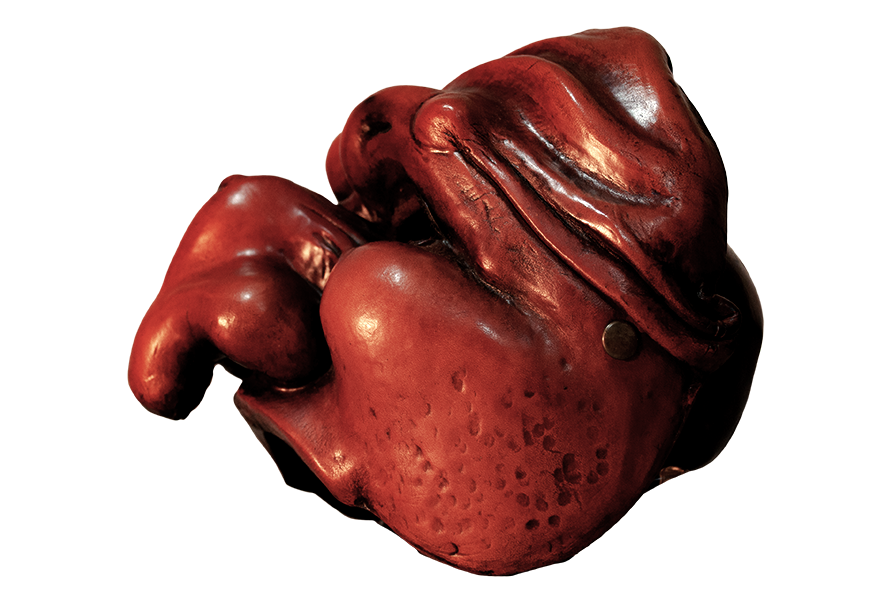 Copia de DSC_64172-3